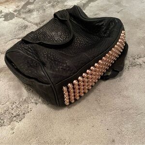 Alexander Wang Ricco. Rose gold finishes.